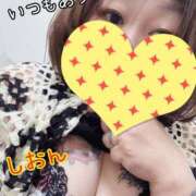 ヒメ日記 2025/05/27 10:15 投稿 長沢しおん 大阪ぽっちゃり妻