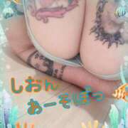 ヒメ日記 2025/06/05 16:00 投稿 長沢しおん 大阪ぽっちゃり妻