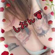 ヒメ日記 2025/06/10 10:00 投稿 長沢しおん 大阪ぽっちゃり妻