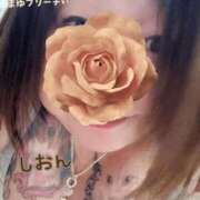 ヒメ日記 2025/07/13 10:30 投稿 長沢しおん 大阪ぽっちゃり妻