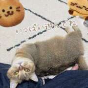 ヒメ日記 2025/07/21 10:31 投稿 長沢しおん 大阪ぽっちゃり妻