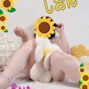 ヒメ日記 2025/07/24 10:30 投稿 長沢しおん 大阪ぽっちゃり妻