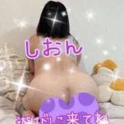 ヒメ日記 2025/08/06 10:41 投稿 長沢しおん 大阪ぽっちゃり妻