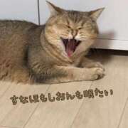 ヒメ日記 2025/08/09 10:30 投稿 長沢しおん 大阪ぽっちゃり妻