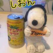 ヒメ日記 2025/08/26 10:45 投稿 長沢しおん 大阪ぽっちゃり妻