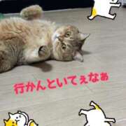 ヒメ日記 2025/09/10 13:45 投稿 長沢しおん 大阪ぽっちゃり妻