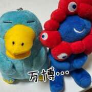 ヒメ日記 2025/09/12 18:02 投稿 長沢しおん 大阪ぽっちゃり妻