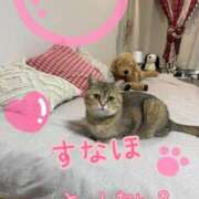 ヒメ日記 2025/09/15 20:00 投稿 長沢しおん 大阪ぽっちゃり妻