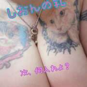 ヒメ日記 2025/09/21 10:30 投稿 長沢しおん 大阪ぽっちゃり妻