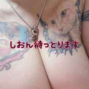 ヒメ日記 2025/09/26 11:01 投稿 長沢しおん 大阪ぽっちゃり妻