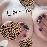 ヒメ日記 2025/10/02 13:00 投稿 長沢しおん 大阪ぽっちゃり妻