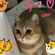 ヒメ日記 2025/10/13 10:30 投稿 長沢しおん 大阪ぽっちゃり妻