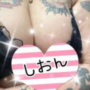 ヒメ日記 2025/10/18 15:54 投稿 長沢しおん 大阪ぽっちゃり妻