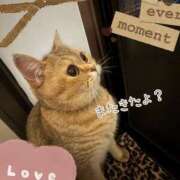 ヒメ日記 2025/10/31 15:45 投稿 長沢しおん 大阪ぽっちゃり妻