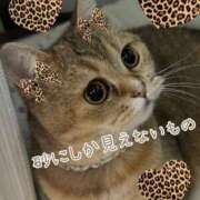 ヒメ日記 2025/11/21 22:45 投稿 長沢しおん 大阪ぽっちゃり妻