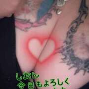 ヒメ日記 2025/11/22 11:01 投稿 長沢しおん 大阪ぽっちゃり妻