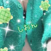 ヒメ日記 2025/12/29 11:01 投稿 長沢しおん 大阪ぽっちゃり妻