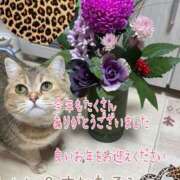 ヒメ日記 2025/12/31 18:01 投稿 長沢しおん 大阪ぽっちゃり妻