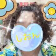 長沢しおん 出勤ぃーんしました♡ 大阪ぽっちゃり妻