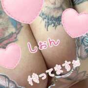 ヒメ日記 2026/01/24 11:01 投稿 長沢しおん 大阪ぽっちゃり妻