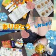 ヒメ日記 2026/02/06 18:30 投稿 長沢しおん 大阪ぽっちゃり妻