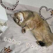 ヒメ日記 2026/02/07 21:02 投稿 長沢しおん 大阪ぽっちゃり妻