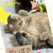 ヒメ日記 2026/02/08 11:01 投稿 長沢しおん 大阪ぽっちゃり妻