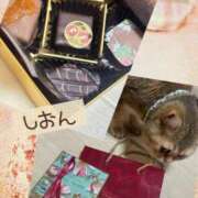 ヒメ日記 2026/02/11 15:31 投稿 長沢しおん 大阪ぽっちゃり妻