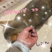 ヒメ日記 2026/02/18 11:30 投稿 長沢しおん 大阪ぽっちゃり妻