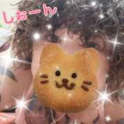 ヒメ日記 2026/02/24 11:00 投稿 長沢しおん 大阪ぽっちゃり妻