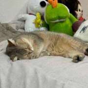 ヒメ日記 2026/02/28 11:02 投稿 長沢しおん 大阪ぽっちゃり妻