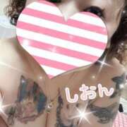 ヒメ日記 2026/03/03 16:37 投稿 長沢しおん 大阪ぽっちゃり妻