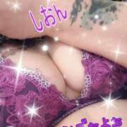 ヒメ日記 2026/03/05 11:01 投稿 長沢しおん 大阪ぽっちゃり妻