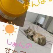 ヒメ日記 2026/03/06 14:30 投稿 長沢しおん 大阪ぽっちゃり妻