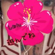 ヒメ日記 2026/03/25 11:01 投稿 長沢しおん 大阪ぽっちゃり妻