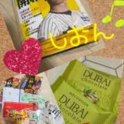 ヒメ日記 2026/03/26 11:01 投稿 長沢しおん 大阪ぽっちゃり妻