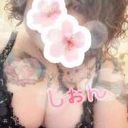 ヒメ日記 2026/04/04 11:01 投稿 長沢しおん 大阪ぽっちゃり妻