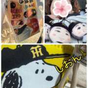 ヒメ日記 2026/04/11 11:02 投稿 長沢しおん 大阪ぽっちゃり妻