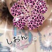 ヒメ日記 2026/04/16 11:01 投稿 長沢しおん 大阪ぽっちゃり妻