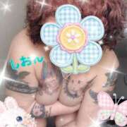 ヒメ日記 2026/04/18 11:01 投稿 長沢しおん 大阪ぽっちゃり妻