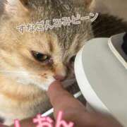 ヒメ日記 2026/04/27 18:02 投稿 長沢しおん 大阪ぽっちゃり妻