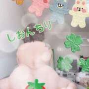 ヒメ日記 2026/04/28 11:00 投稿 長沢しおん 大阪ぽっちゃり妻