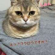 ヒメ日記 2026/05/05 11:01 投稿 長沢しおん 大阪ぽっちゃり妻