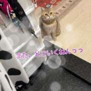 ヒメ日記 2026/05/14 11:01 投稿 長沢しおん 大阪ぽっちゃり妻