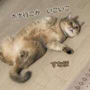 ヒメ日記 2026/05/26 11:01 投稿 長沢しおん 大阪ぽっちゃり妻