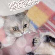 ヒメ日記 2026/06/09 13:03 投稿 長沢しおん 大阪ぽっちゃり妻