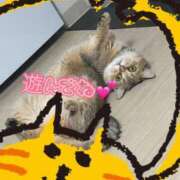 ヒメ日記 2026/07/07 11:12 投稿 長沢しおん 大阪ぽっちゃり妻