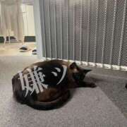 ヒメ日記 2024/12/28 10:49 投稿 うさぎ マットDEY-jo（マット・デ・ワイジョ）