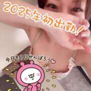 ヒメ日記 2025/01/01 16:49 投稿 うさぎ マットDEY-jo（マット・デ・ワイジョ）