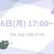 ヒメ日記 2025/01/05 10:43 投稿 うさぎ マットDEY-jo（マット・デ・ワイジョ）